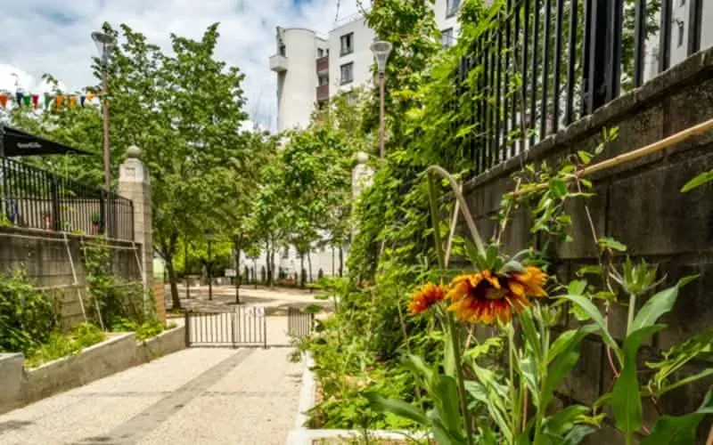 The flower bed at the entrance to Square Paul Paray