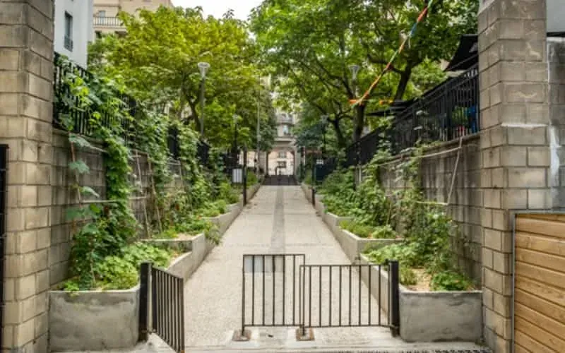 The planted footpath leading to Square Paul Paray